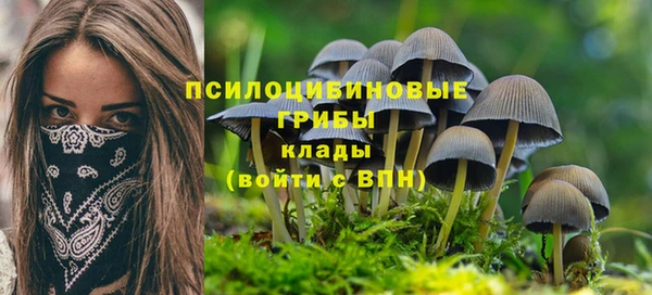 mdma Осинники