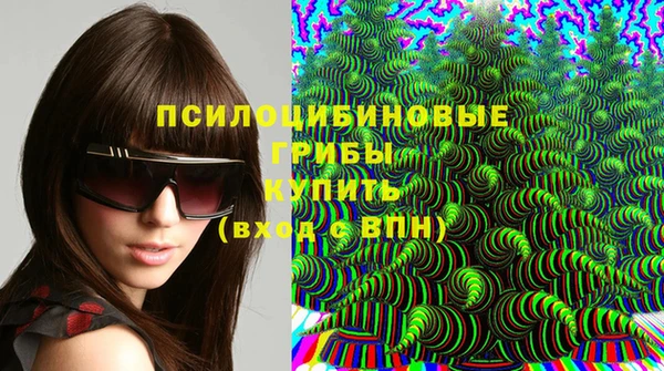 сатива Арсеньев