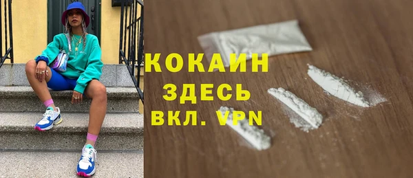 сатива Арсеньев